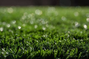 Artificial Grass vs Turf : What Are The Difference? 2023