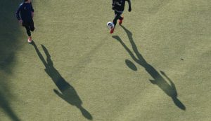 Artificial Grass vs Turf : What Are The Difference? 2023