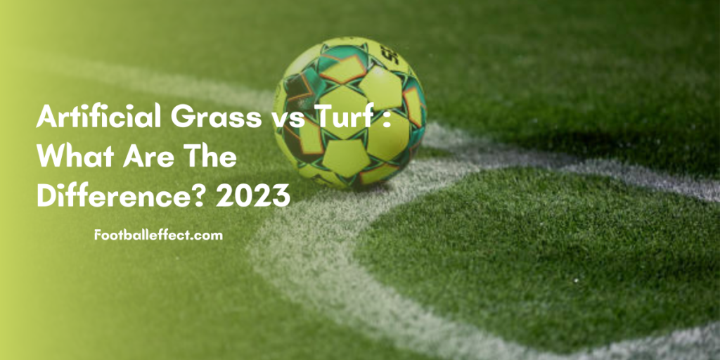 Artificial Grass vs Turf : What Are The Difference? 2023